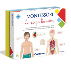 Montessori le corps humain...