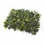Mur végétal feuilles d'Osmanthus 50x50 cm UV protection  -  - fin