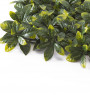Mur végétal feuilles d'Osmanthus 50x50 cm UV protection  -  - fin