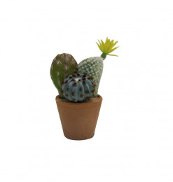 Mini cactus 19 cm dans pot...