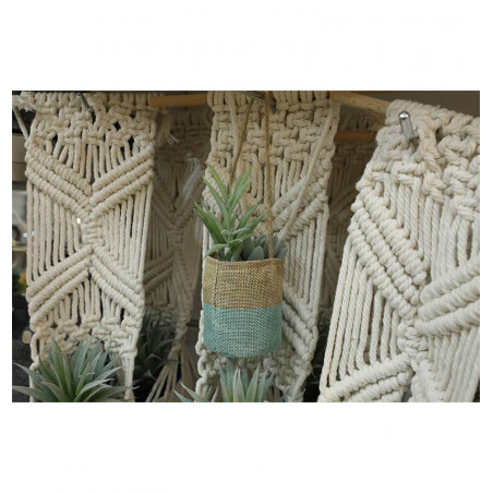 Plante artificielle grasse 14 cm dans jute à suspendre | Pots, plantes & fleurs artificielles , Dakar, Sénégal