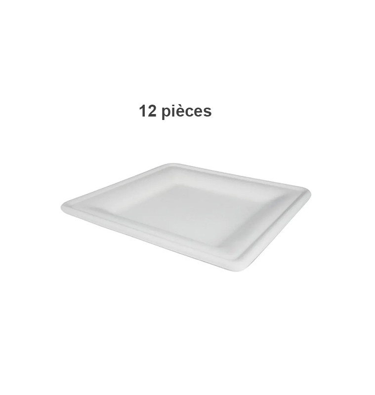 Assiette jetable écologique blanche 20 cm en fibre de canne à sucre bio - lot de 12 | Vaisselle jetable | 2 600 FCFA , dakar,...