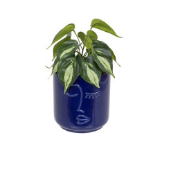 Plante artificielle en pot céramique visage bleu navy, H 30 cm | Pots, plantes & fleurs artificielles , Dakar, Sénégal