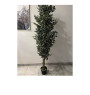 Plante artificielle Ficus 2m17 à 2064 feuilles, 227.5X23X21 cm | Arbres & plantes artificielles extérieur | 75 000 FCFA , dak...