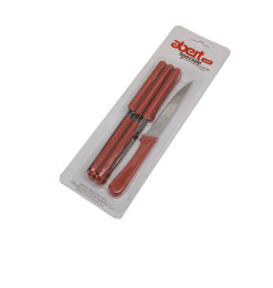 Couteau à viande en inox avec manche rouge en pvc - 6 Pcs