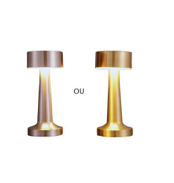 Lampe de table LED tactile métal et PS, 9 x 21 cm - 2 coloris au choix | Lampadaires  , Dakar, Sénégal