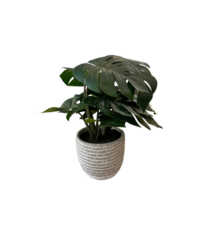 Plante artificielle Monstera, toucher réel dans pot blanc, 40 cm | Pots, plantes & fleurs artificielles , Dakar, Sénégal