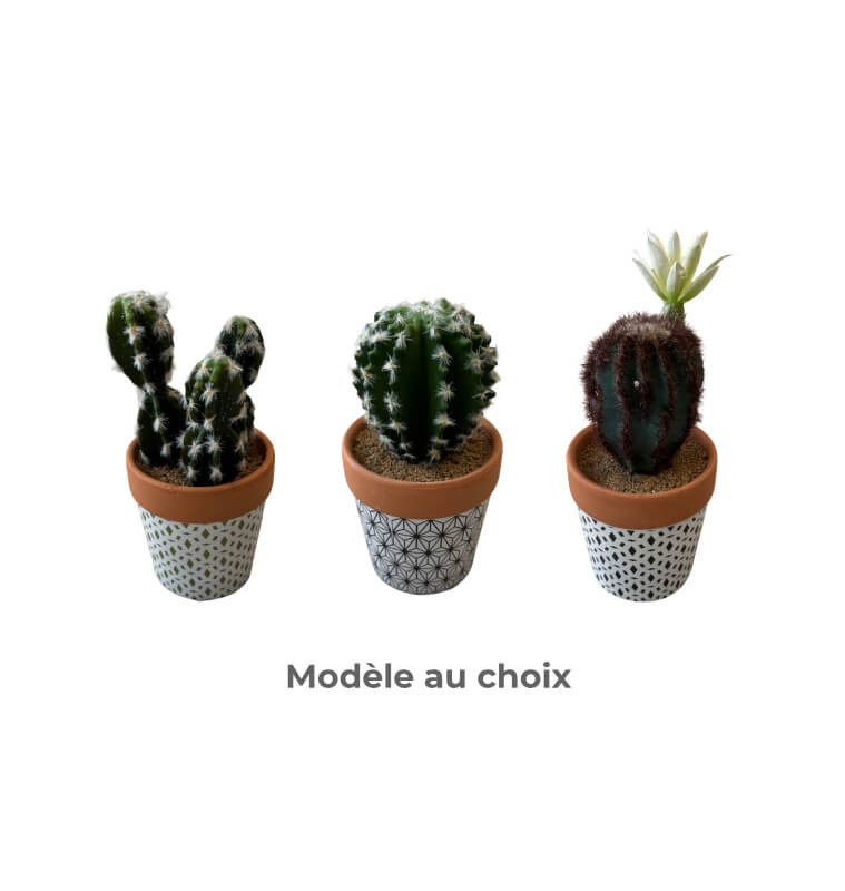 Plante Cactus artificielle dans pot blanc et terra, 15 cm | Pots, plantes & fleurs artificielles , Dakar, Sénégal