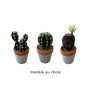 Plante Cactus artificielle dans pot blanc et terra, 15 cm | Pots, plantes & fleurs artificielles , Dakar, Sénégal