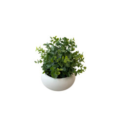 Plante artificielle Eucalyptus dans pot en céramique blanc, 18 cm | Pots, plantes & fleurs artificielles , Dakar, Sénégal