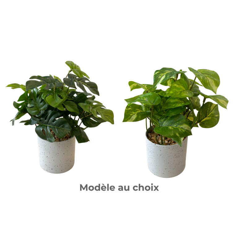 Plante artificielle dans pot mélaminé blanc, 26 cm | Pots, plantes & fleurs artificielles , Dakar, Sénégal
