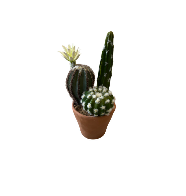 Plante Cactus artificielle dans pot terra, 23.5 cm | Pots, plantes & fleurs artificielles , Dakar, Sénégal