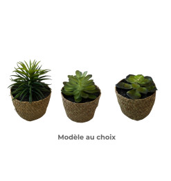 Plante grasse artificielle dans pot tressé, 9 cm | Pots, plantes & fleurs artificielles , Dakar, Sénégal