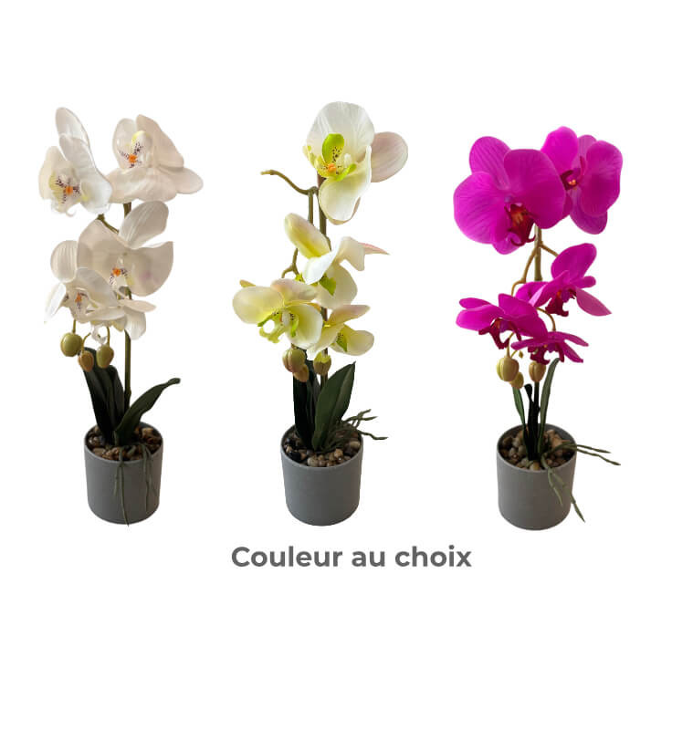 Plante artificielle Phalaenopsis dans pot gris, 42 cm | Pots, plantes & fleurs artificielles , Dakar, Sénégal