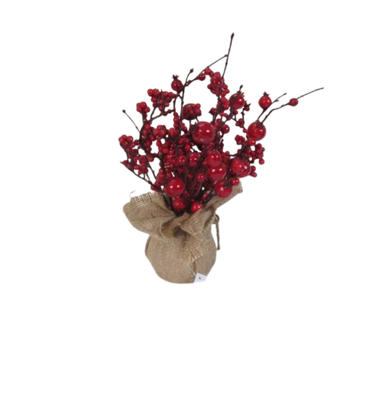 Barbuste baies rouge, 30cm\r\n |Autres accessoires Noël |5 000 CFA ,Dakar, Sénégal