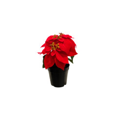 Fleur artificielle de Noël Poinsettia 32 cm |Autres accessoires Noël |3 100 CFA ,Dakar, Sénégal
