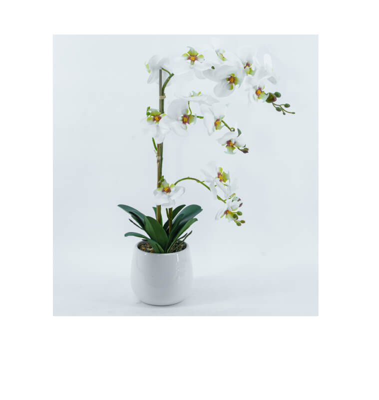 Orchidée artificielle 13 x 13 x 55 cm dans vase blanc | Pots, plantes & fleurs artificielles , Dakar, Sénégal