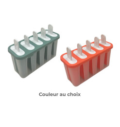 Moule à crème glacée 5 compartiments en plastique | Conservation chaud/froid | 1 200 CFA , dakar, Sénégal