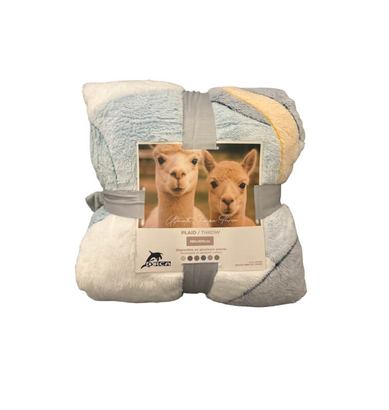 Plaid motif enfant extra doux 180x220 cm, 260 GSM en polyester bleu | Plaids & jetés , Dakar, Sénégal