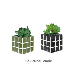 Plante artificielle en pot carré en céramique, 17 cm | Plantes & fleurs artificielles , Dakar, Sénégal