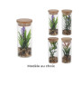 Plante artificielle succulente en vase cylindrique avec couvercle Bambou | Plantes & fleurs artificielles , Dakar, Sénégal
