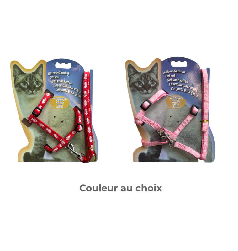Harnais avec collier pour chat | Accessoires & confort | 1 300 CFA , dakar, Sénégal