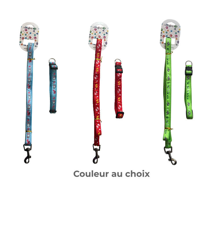 Collier avec laisse 1,5 x 120 cm | Accessoires & confort | 1 200 CFA , dakar, Sénégal