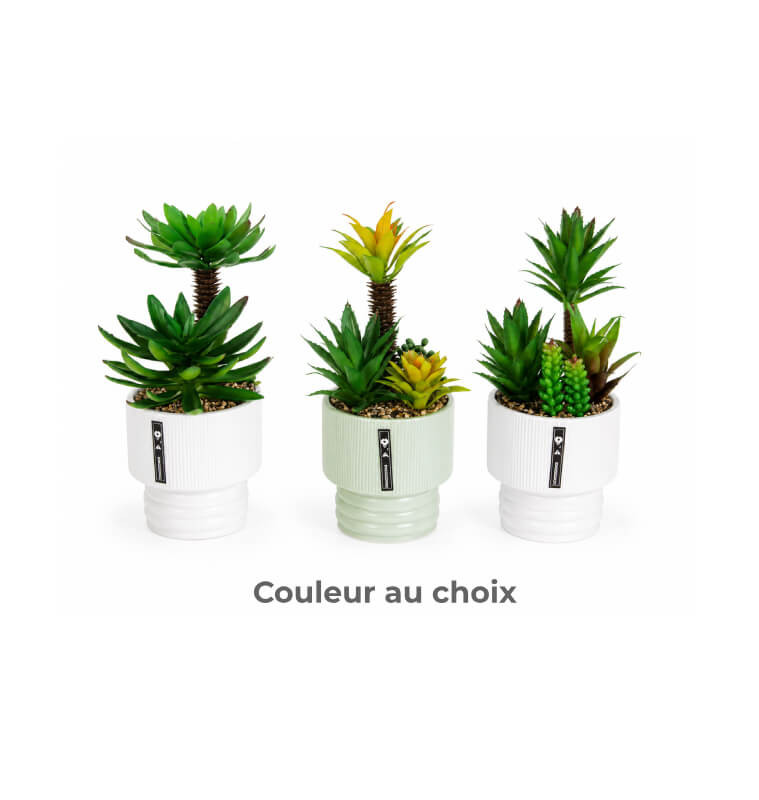 Composition de plantes grasses artificielles H27 cm dans pot en céramique | Plantes & fleurs artificielles , Dakar, Sénégal