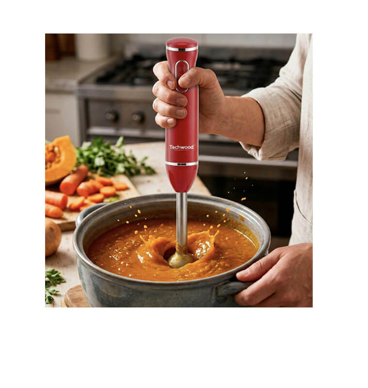 Mixeur plongeant 600 W avec pied en inox Techwood | Blenders, mixeurs & hachoirs | 18 000 CFA , dakar, Sénégal