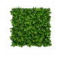 Mur végétal artificiel effet succulentes 50 x 50 cm en PP épaisseur 7 cm | Gazons artificiels & murs végétaux | 7 500 CFA , d...
