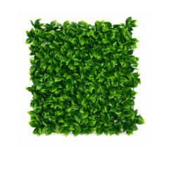 Mur végétal artificiel effet Pothos 50 x 50 cm en PP épaisseur 7 cm | Gazons artificiels & murs végétaux | 7 500 CFA , dakar,...